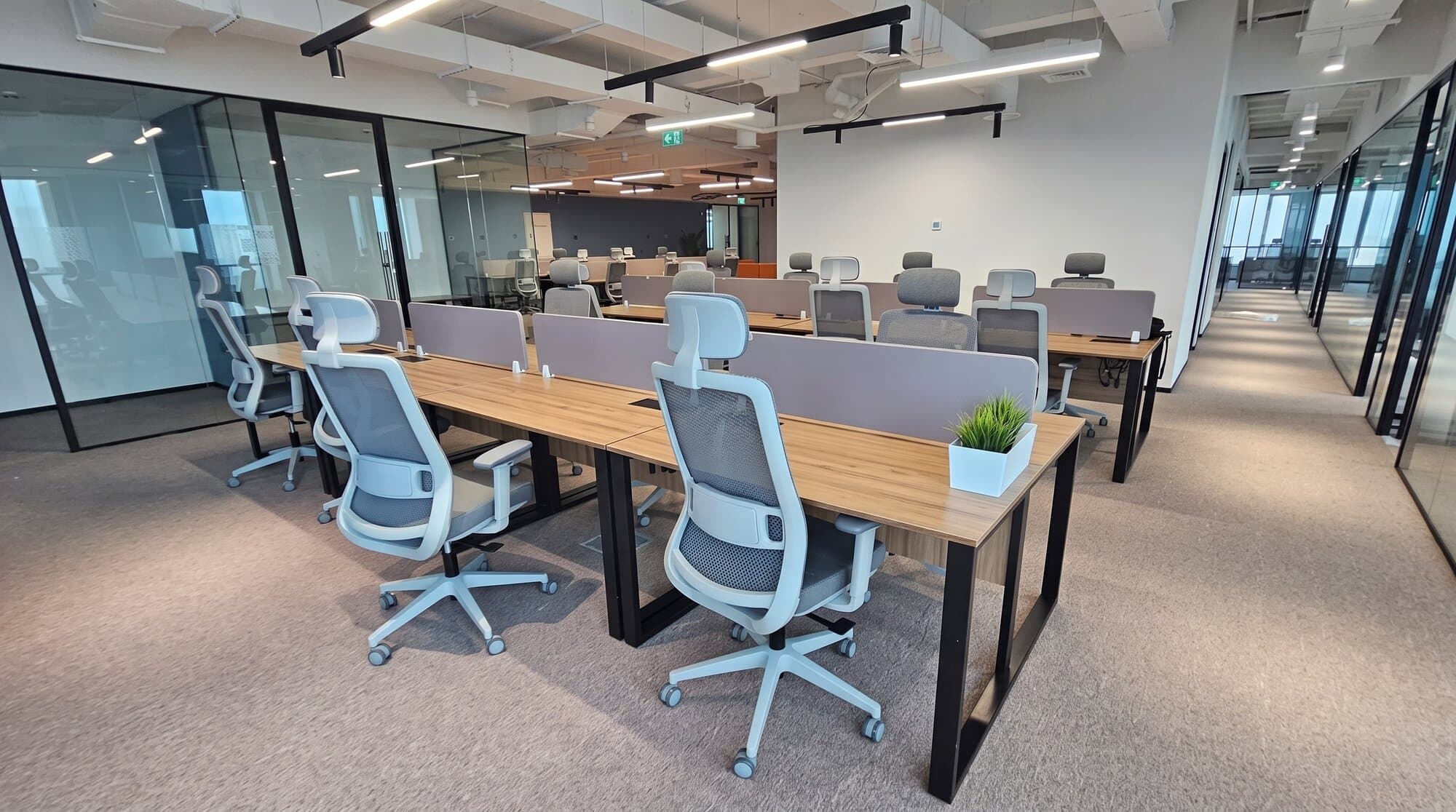 Corporate workspace with workstations and mesh chairs